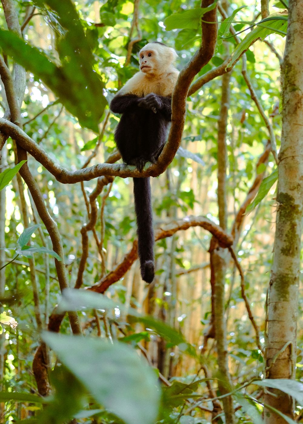 most popular destination in costa rica