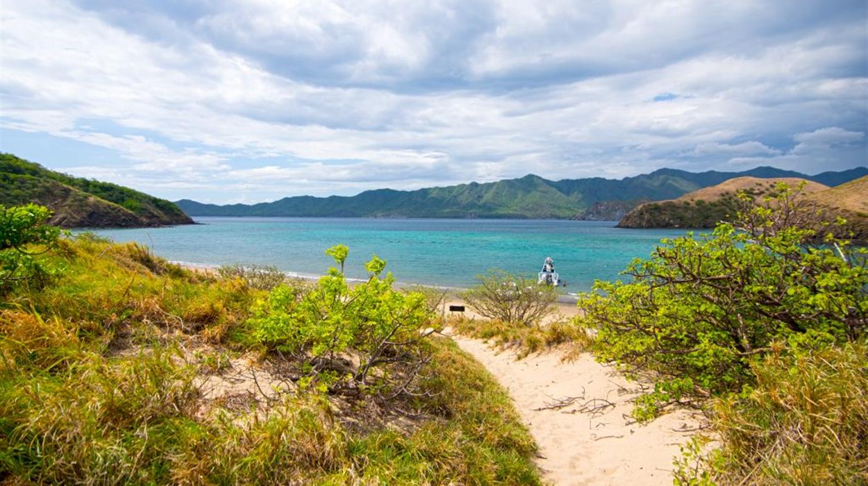 Two Tank Dive Tour in Local Area - Playa Del Coco